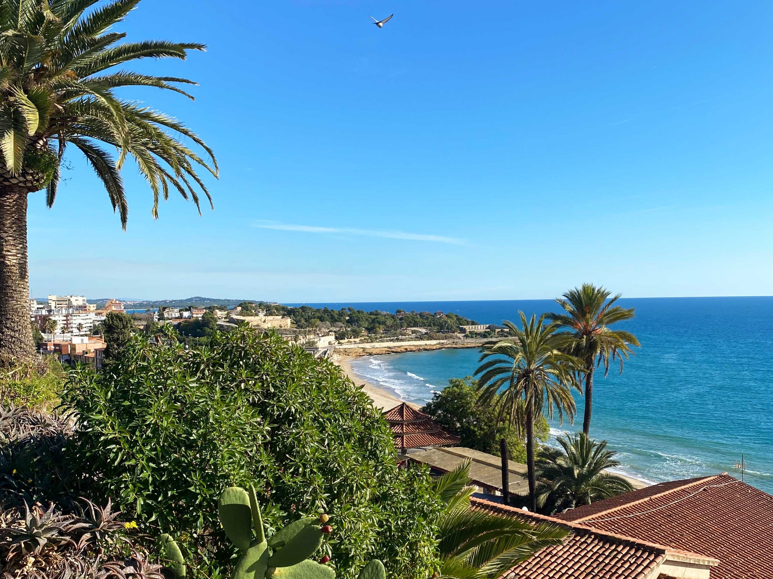 Mit dem Camper Van am Strand von Tarragona in Katalonien