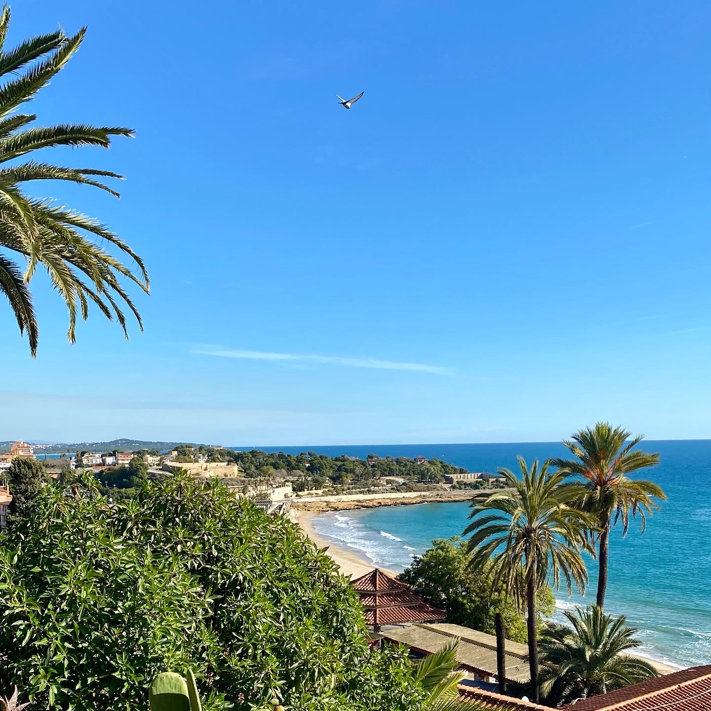 Camper Van Route durch Spanien